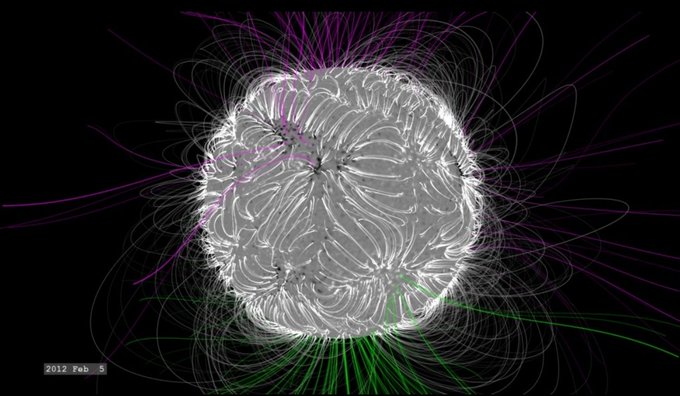 Solar magnetic field lines and coronal loops visualization